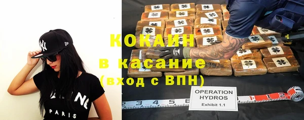 прущие грибы Баксан