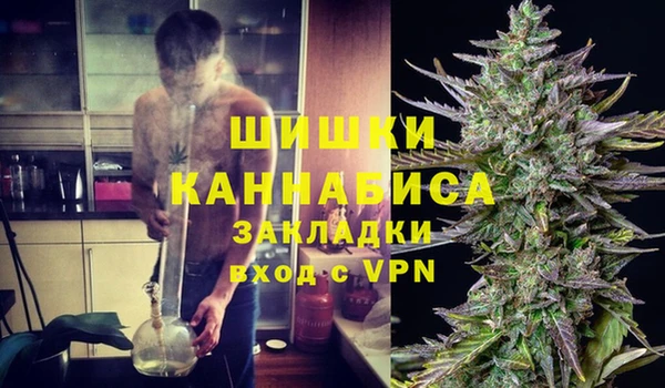 прущие грибы Баксан