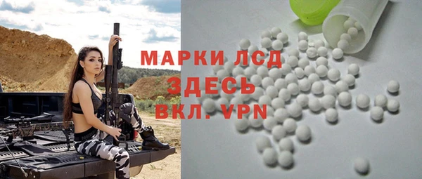 прущие грибы Баксан