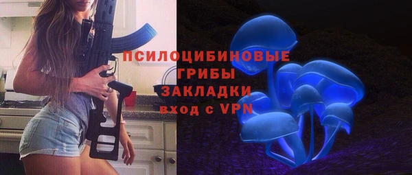 прущие грибы Баксан