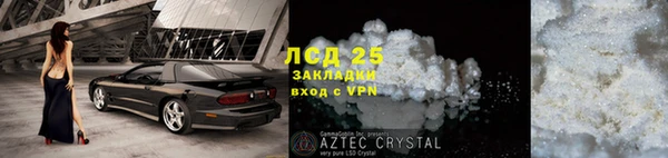 прущие грибы Баксан