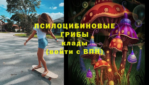прущие грибы Баксан