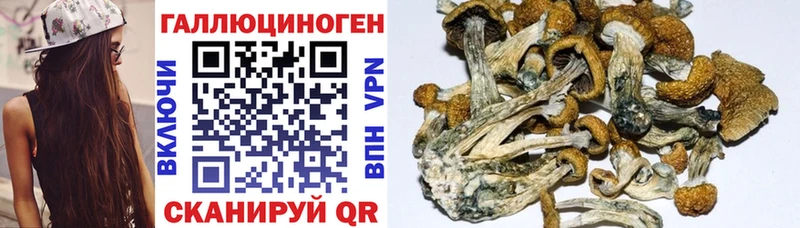 Галлюциногенные грибы мицелий  Купить  Котлас 