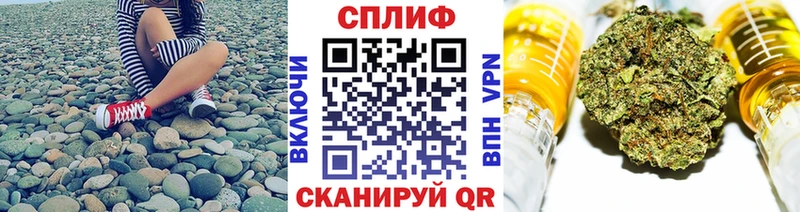 Купить закладки  Котлас  Шишки марихуана THC 21% 